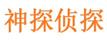 龙山侦探公司